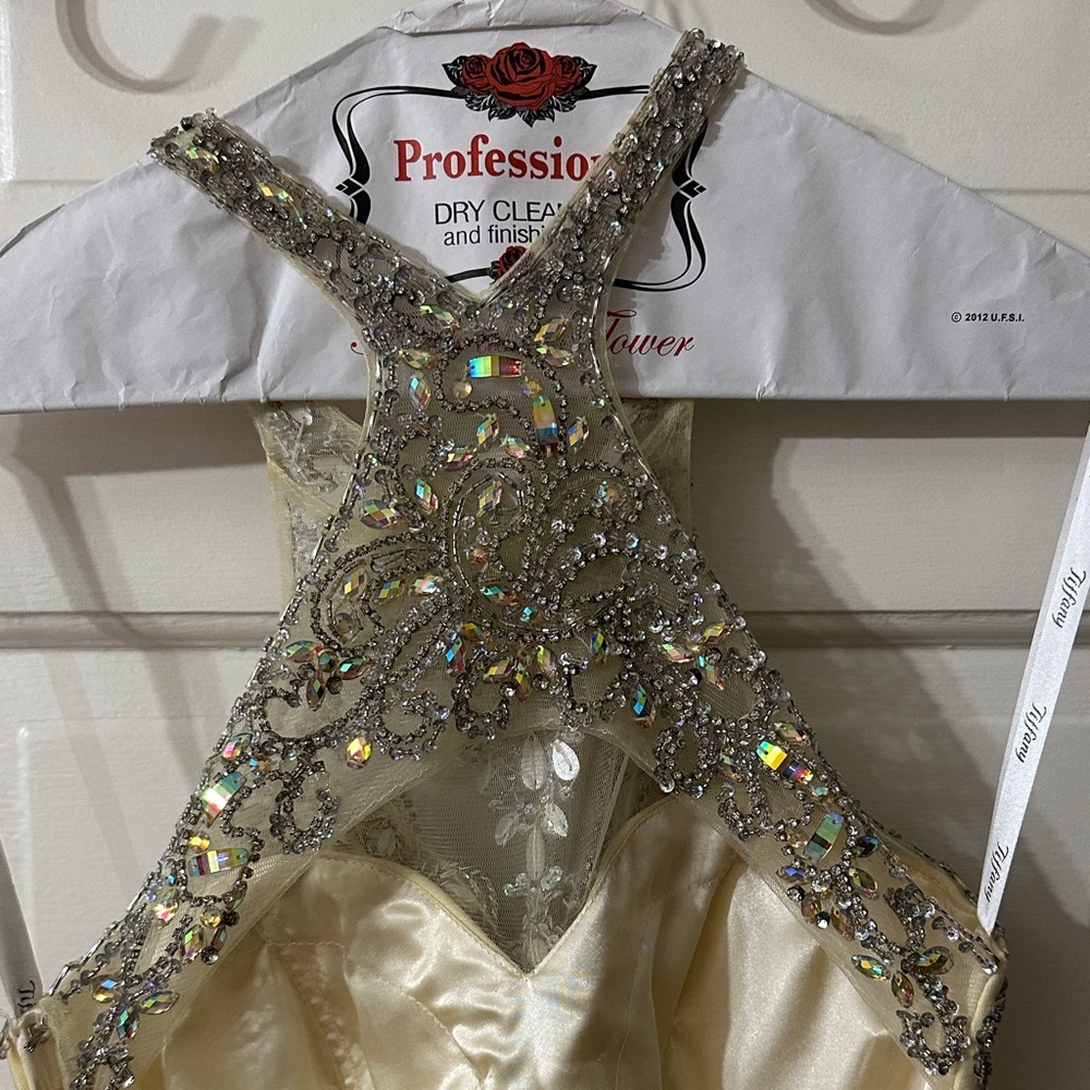 Tiffany Designs Prom Gown with Silver Embellishments Accents - Picture 13 of 16